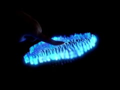 হেং চেং ইলেকট্রনিক্স টেকনোলজি ((HK) Co.,Ltd